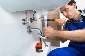 Best Residential Plumbing Services  in Conestee, SC